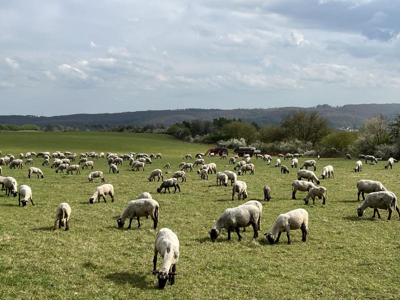  (Foto: Sr. M. Laetitia Eberle)